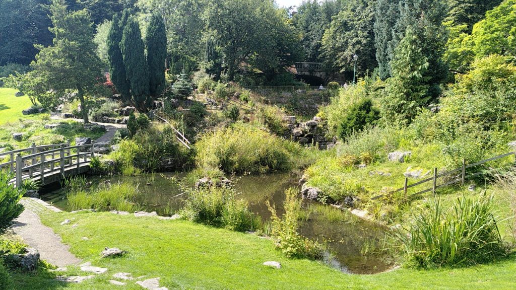 Japanese Garden in Preston
