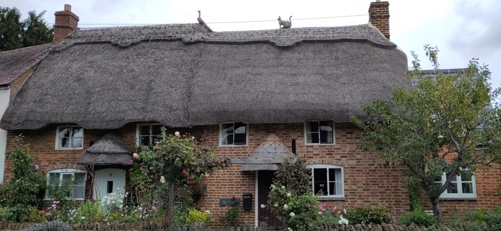 Cat and Peacock Thatched Roof