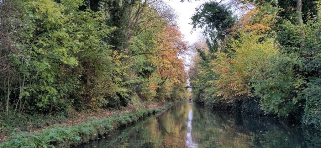 Autumn colours on trees both sides of the canal