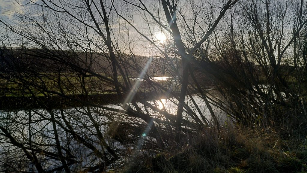 Low sun reflecting off bends in a river viewed through bare branches