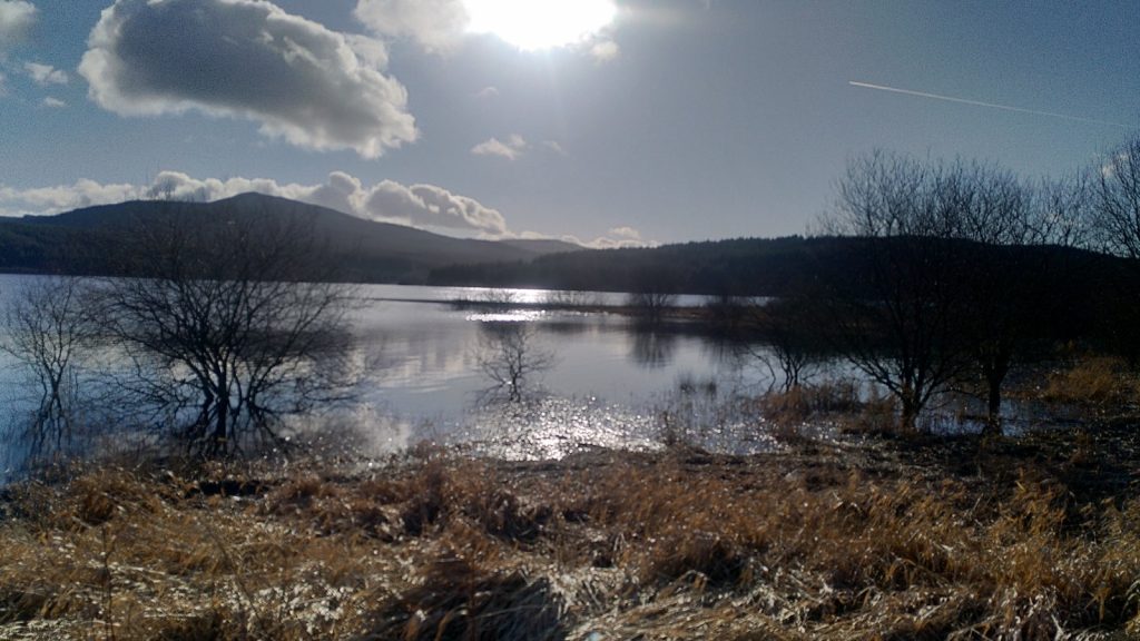 View across the Carron Valley Reservoir to low hills beyond.  The vegetation in the foreground is brown.  A weak sun shines from a blue sky with light clouds.
