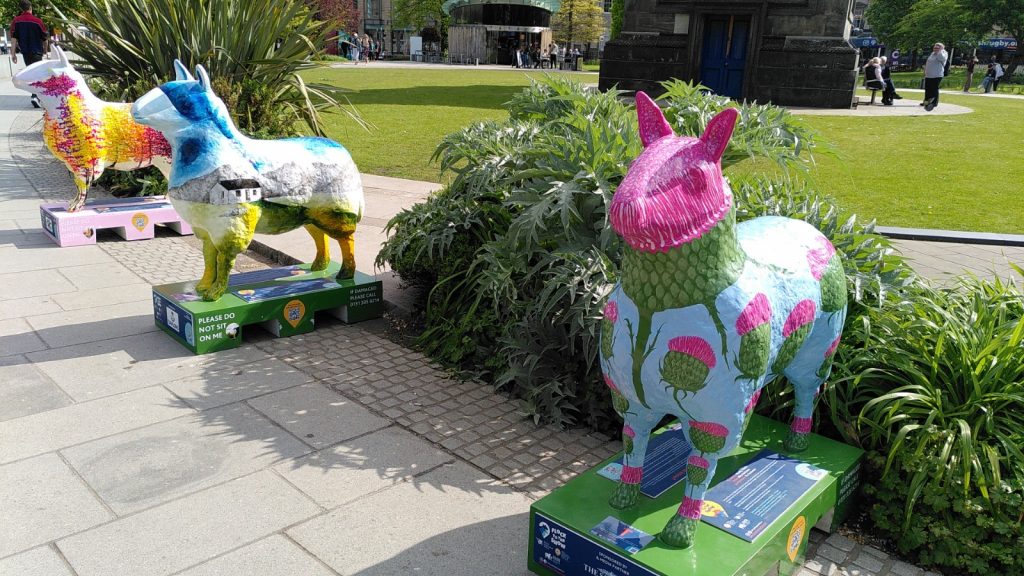 Three temporary sheep statues in St Andrews Square, Edinburgh.  They are covered in different multi-coloured designs, but otherwise identical, standing on a pedestal looking ahead.