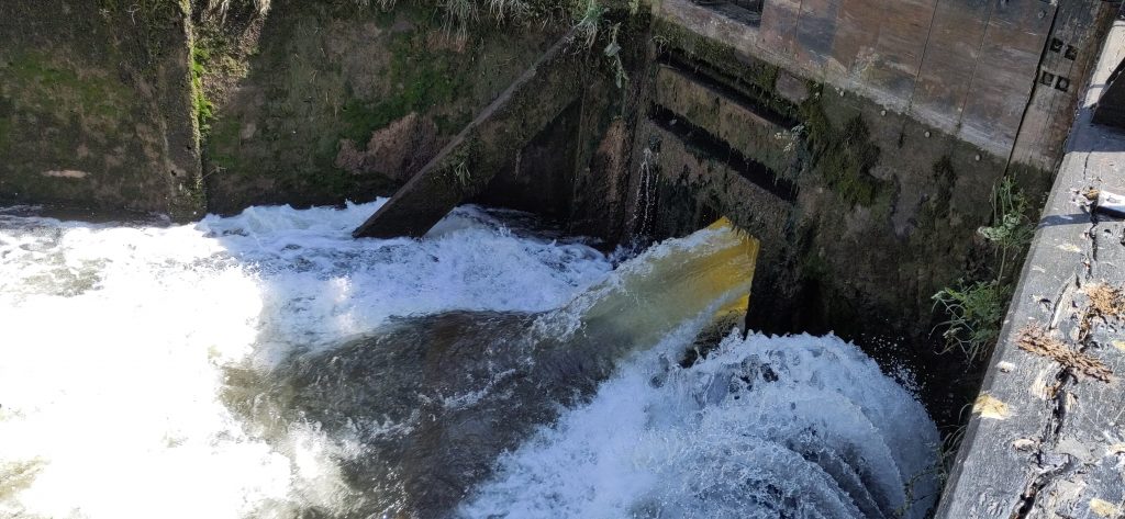 Water pouring through the gate sluice in a lock gate.  A spout about a foot square is gushing in to the foaming water below.