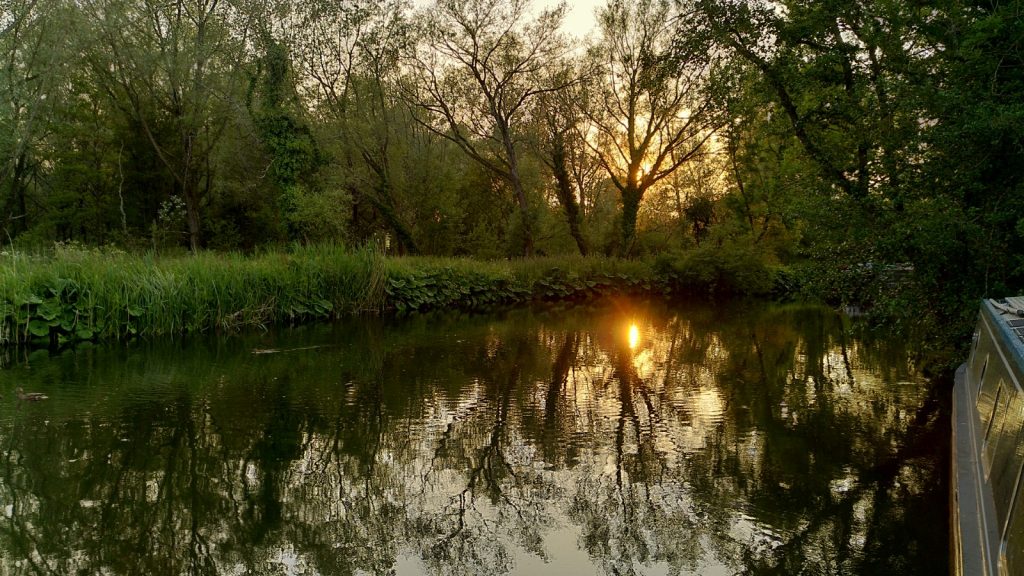 A low sun is shining between the branches of trees on the far side of a river.  The scene is reflected in the river.  The side of the narrowboat is just visible, with a golden sheen.