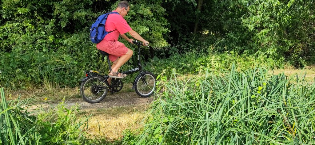 A cyclist wearing a rucsac riding a small wheeled bicycle on the towpath.  The towpath has a rough surface with trees on one side and high banks of reeds on the other.