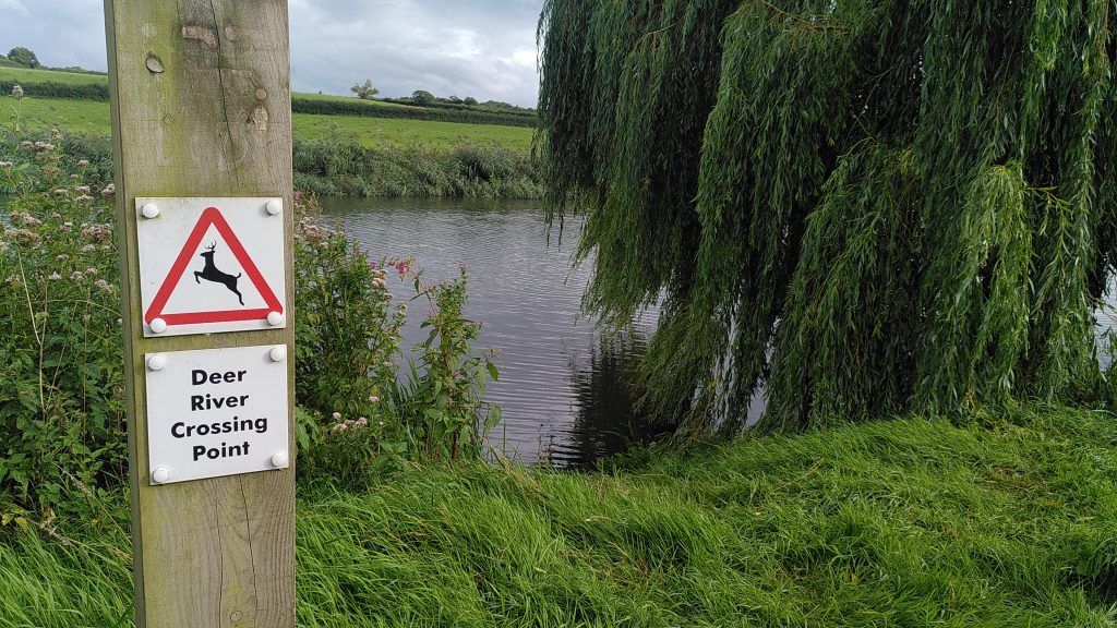 A wooden post with a sign on it saying "Deer River Crossing Point".  Behind it a grassy slope leads down to the river next to a large willow tree.  The opposite bank is a low flat field.