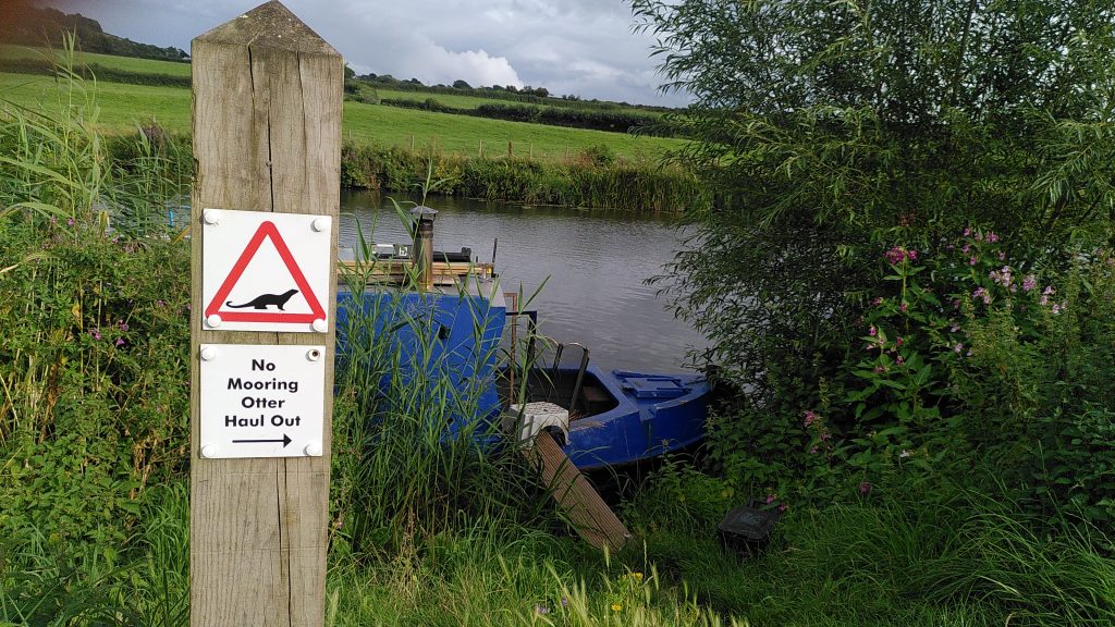 in the foreground is a wooden post with a sign saing "No Mooring Otter Haul Out".  A grassy bank leads down to the water where the bow of a narrowboat is moored.