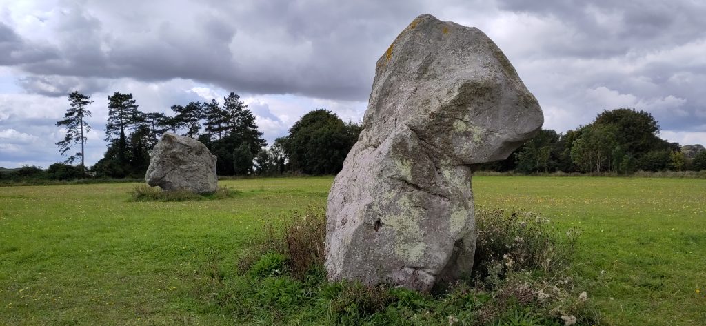 Two standing stones in a field.  The nearest one looks as if it is pinched about halfway up with the top half leaning over.  The further one is much larger and squarer, though still irregular.