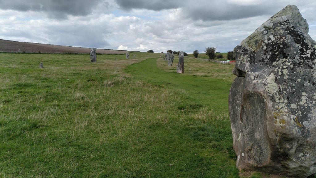Avenue of standing stones.  Two lines of standing stones extend to the horizon.    The grass between them is clearly walked more heavily than the rest of the field.