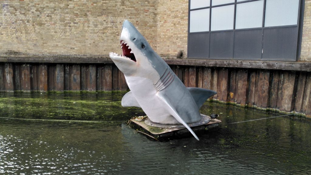 Life-size floating shark model.  The shark appears to be leaping out of the water with its mouth open. Its side and dorsal fins are all visible.  The model is resting on a small raft floating in the canal.