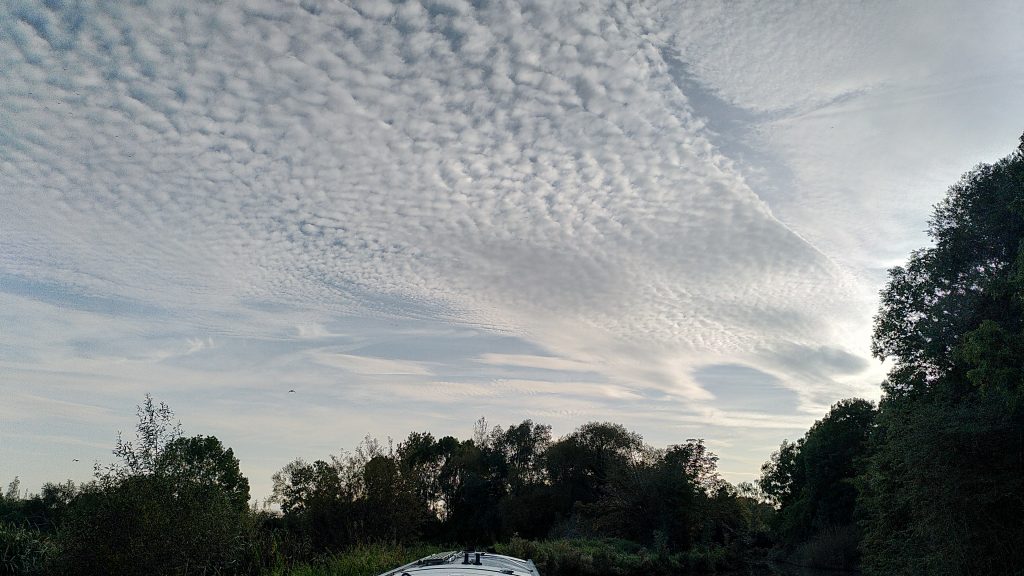 Mackerel Sky.  A layer of high cloud under a blue sky.