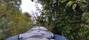 View from the stern deck of a narrowboat. Above and in front of the boat there are reeds and bushes. There is no water visible at all.