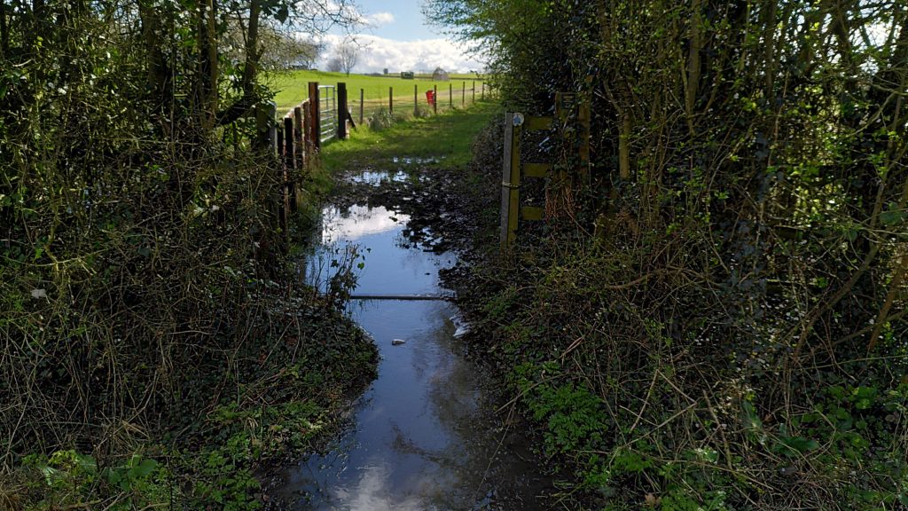 View along a footpath. The narrow path between two hedges is completely covered in water so that it looks more like a stream.