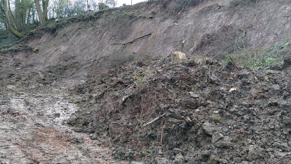 Newly cleaved slope.  The material sliding in to the canal has left a smooth face at a steep angle.  The dark mud does not look stable.