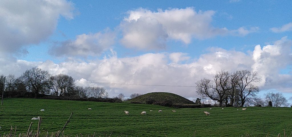 Brinklow Castle.  A mound of earth rises behind a field of sheep.  The sky is blue with fluffy clouds.