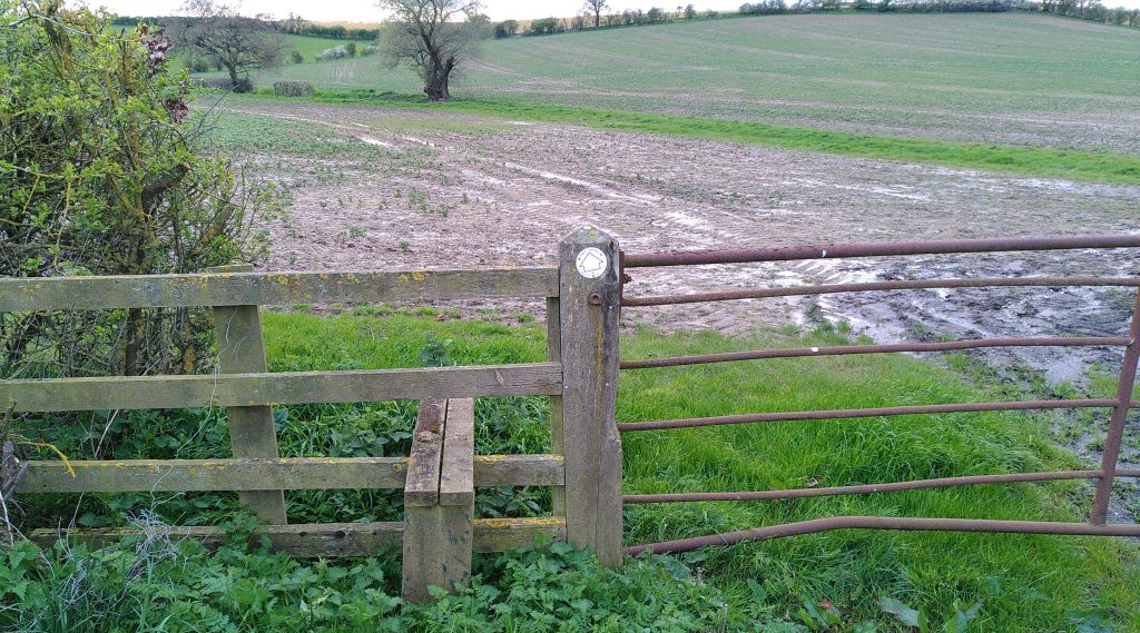 Stile in to field. The field beyond the stile is largely devoid of grass.  The mud has ruts and other areas in which standing water is clearly visible.  This is not an inviting walk.