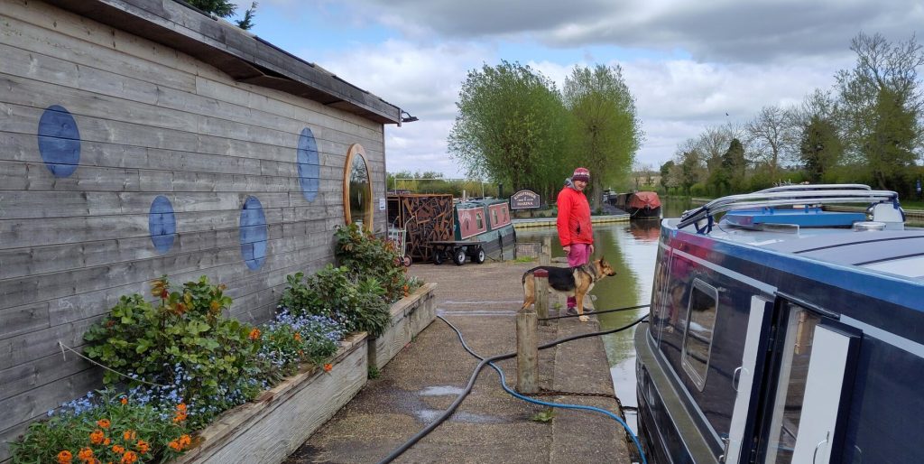 Shepherded.  A man is standing on a canal wharf near the stern of a narrowboat.  The man is looking a the dog, but the dog is giving its attention to the boat.  A wooden hut on the wharf side has flowers in raised beds in front of it.